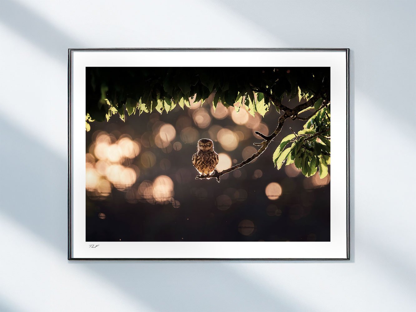 Cerisier et lumières dorées – Image 2