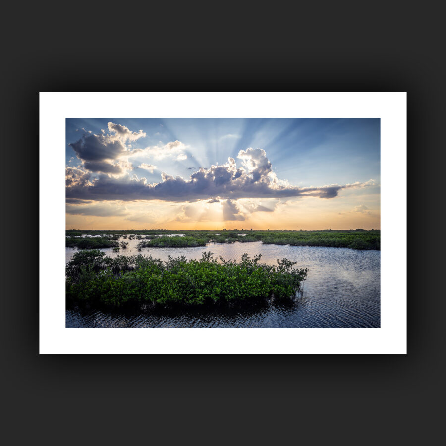 Tirage - Mangroves de Floride