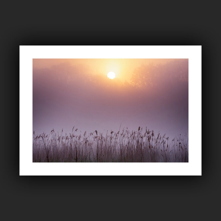 Tirage - Lever de soleil sur le marais