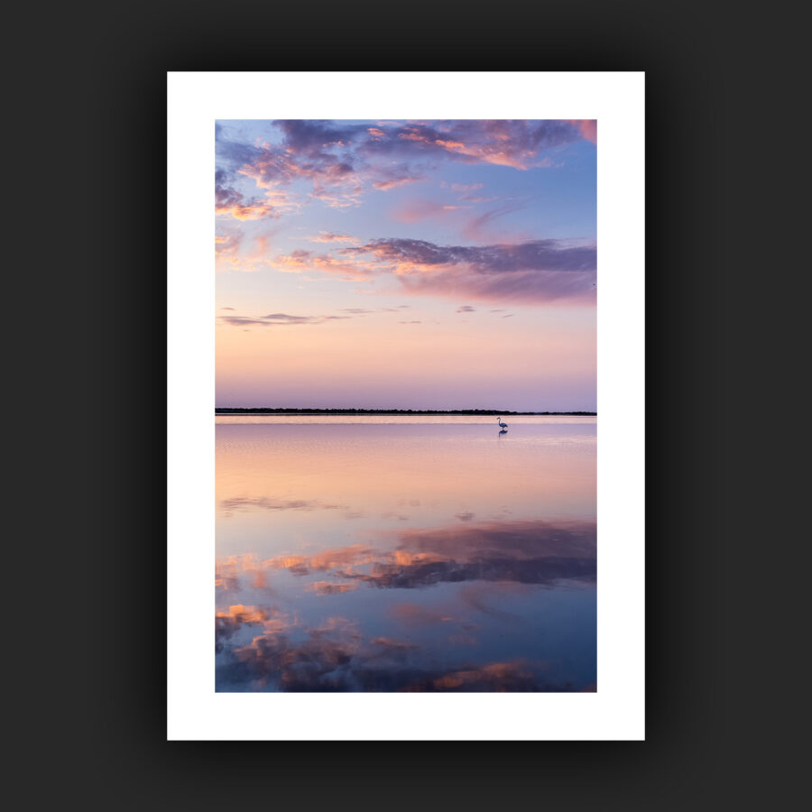 Tirage - Flamant rose