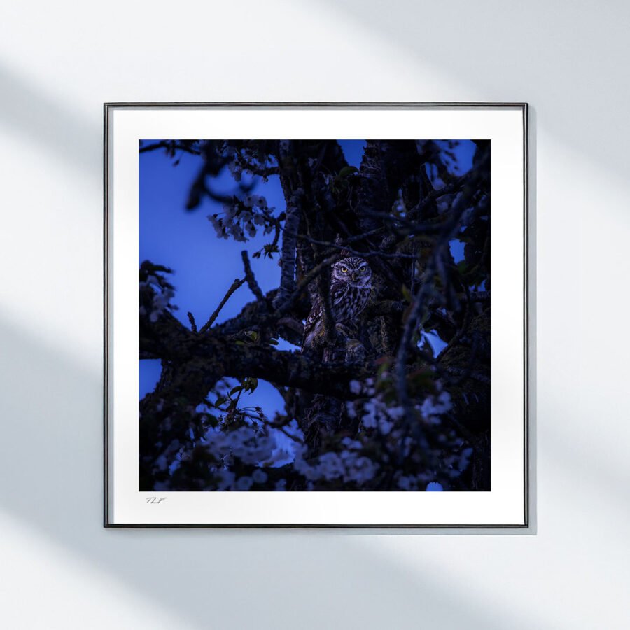 Dernières lumières – Image 2