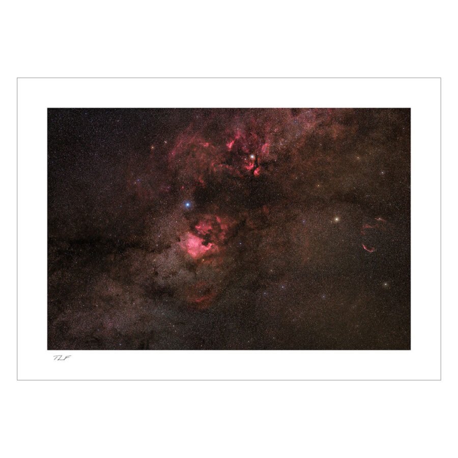 constellation du cygne