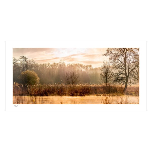 aube sur le marais