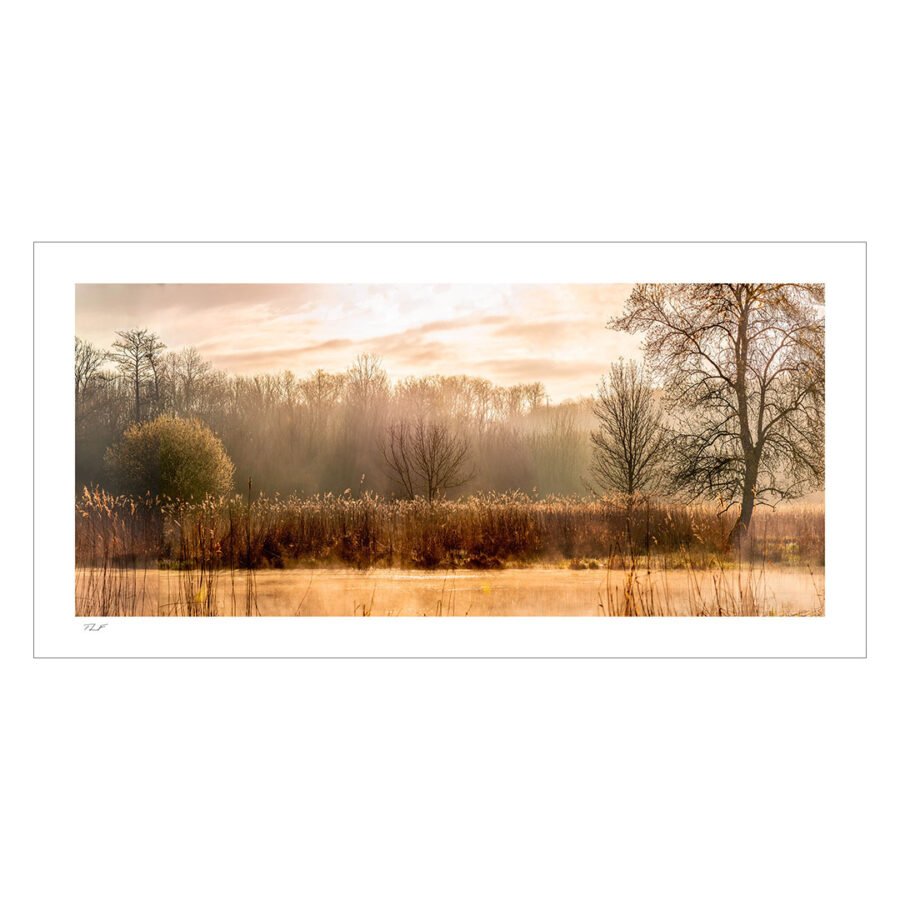 aube sur le marais