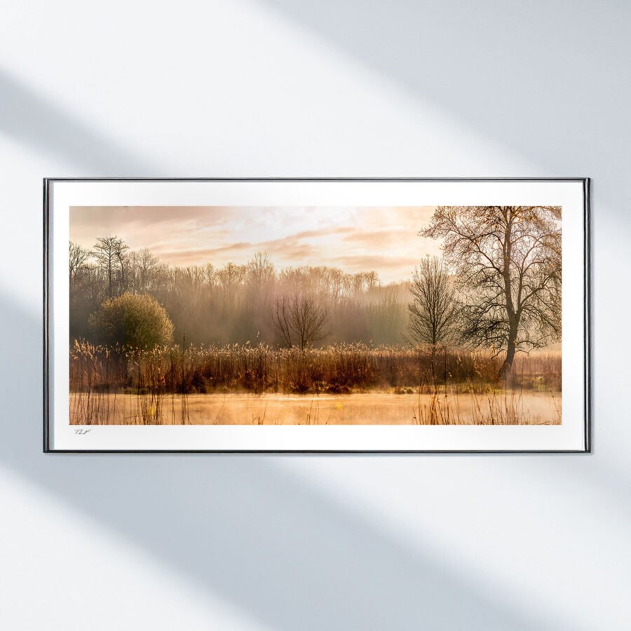 Aube sur le marais – Image 2