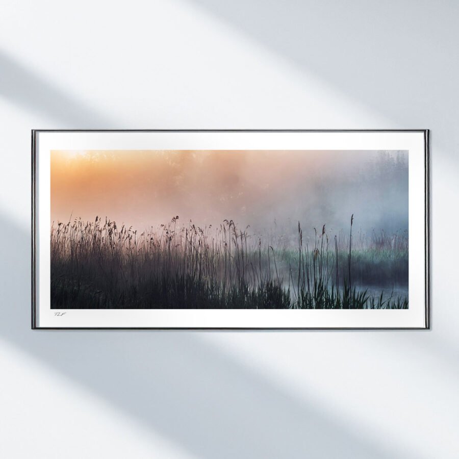 Roselière et brume – Image 2