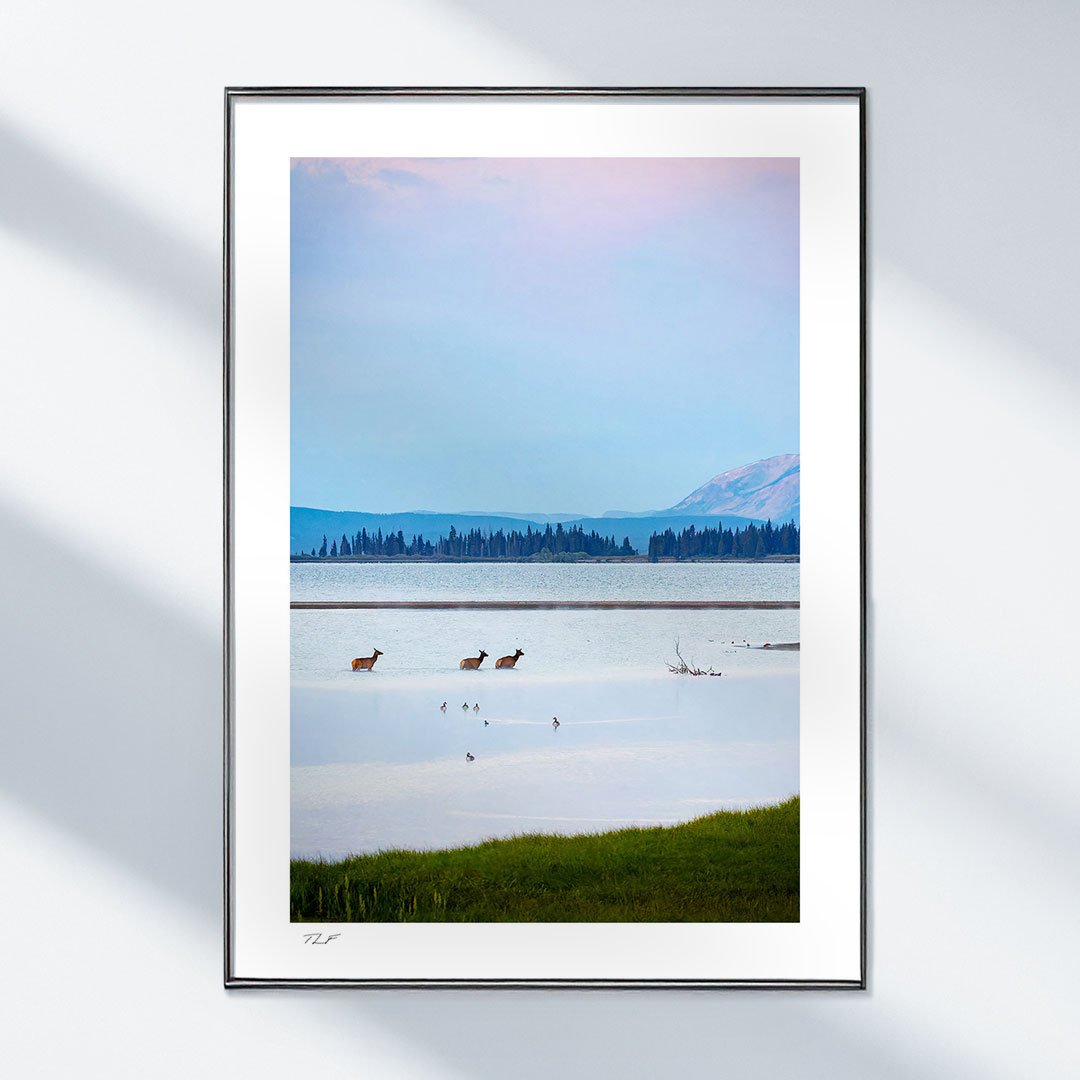 À l'aurore au Far West – Image 2