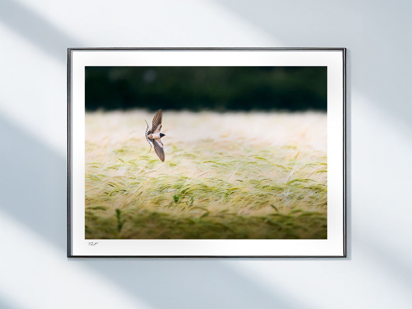 Vif dans le vent – Image 2