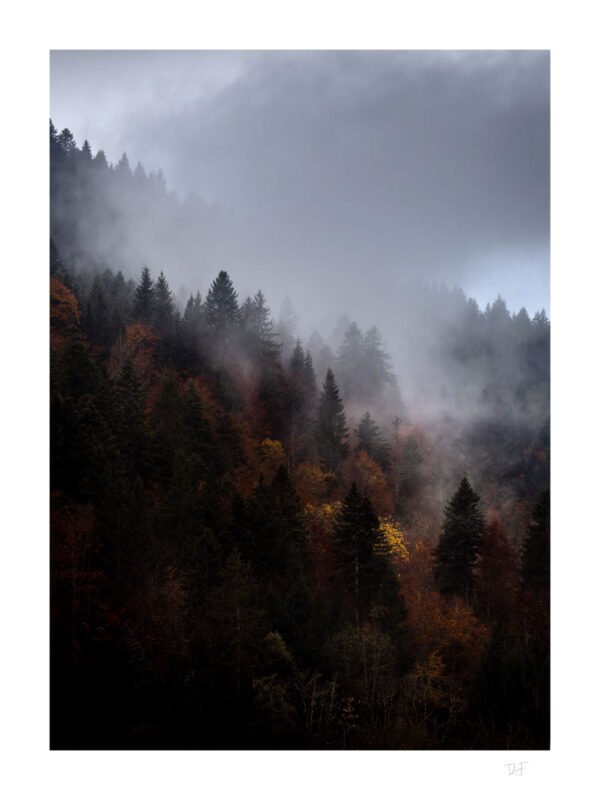 Brumes et couleurs d’Automne