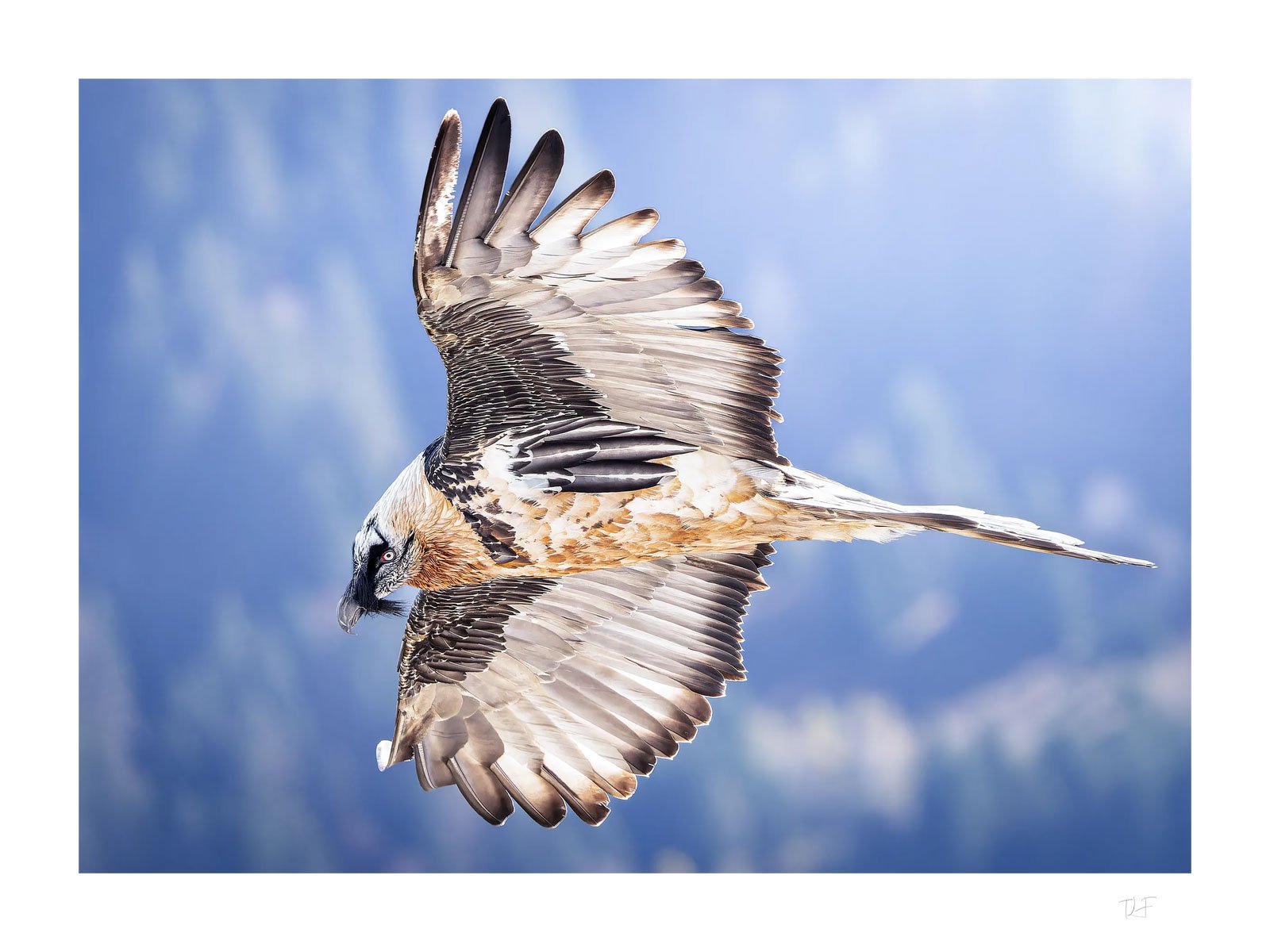 Le maître des vallées