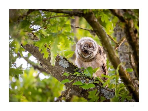 Sous tous les angles