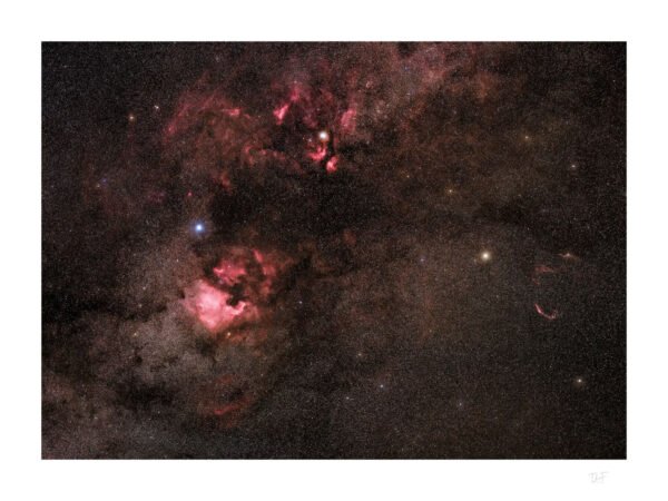 La constellation du Cygne