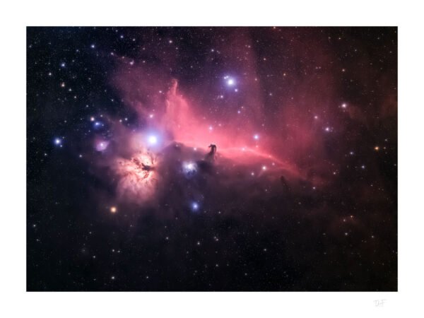 La flamme et la tête de cheval