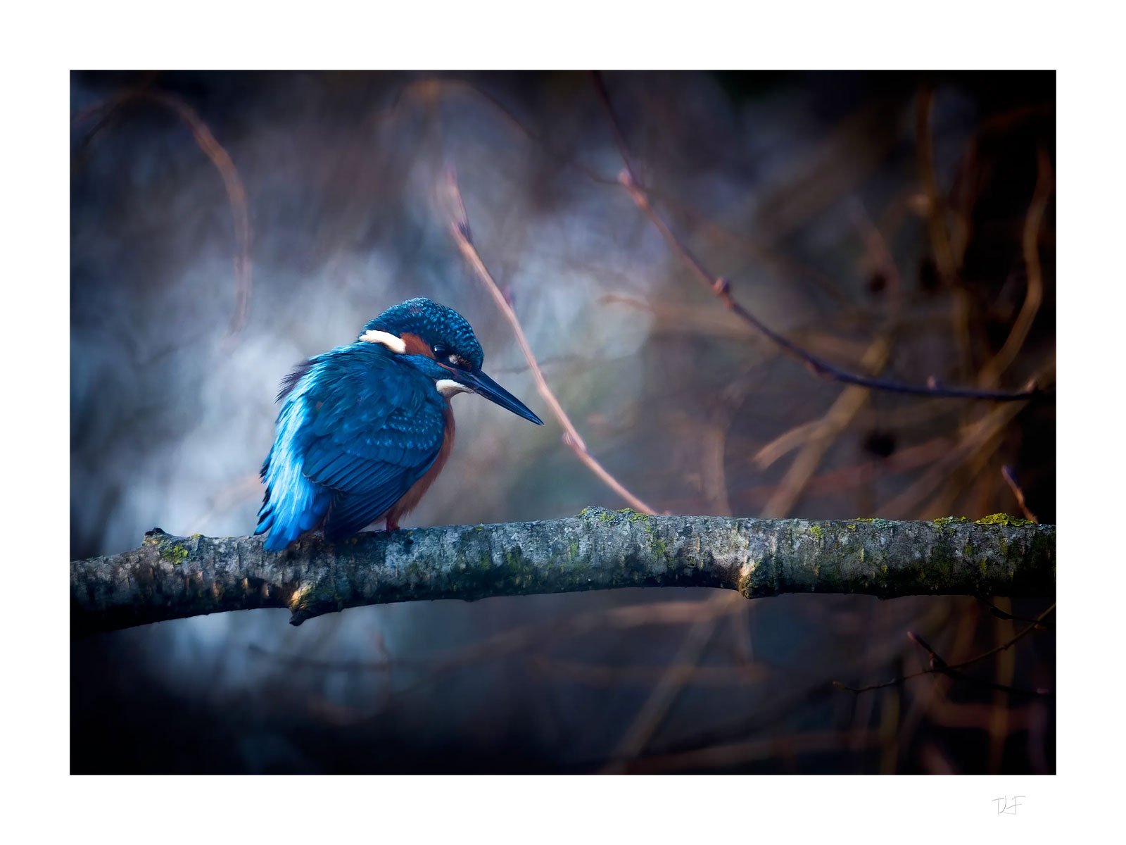 Pêcheur aux aurores