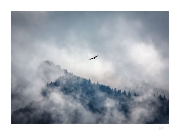 Ambiance des sommets