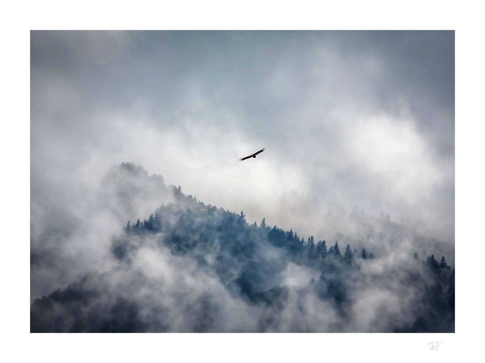 Ambiance des sommets