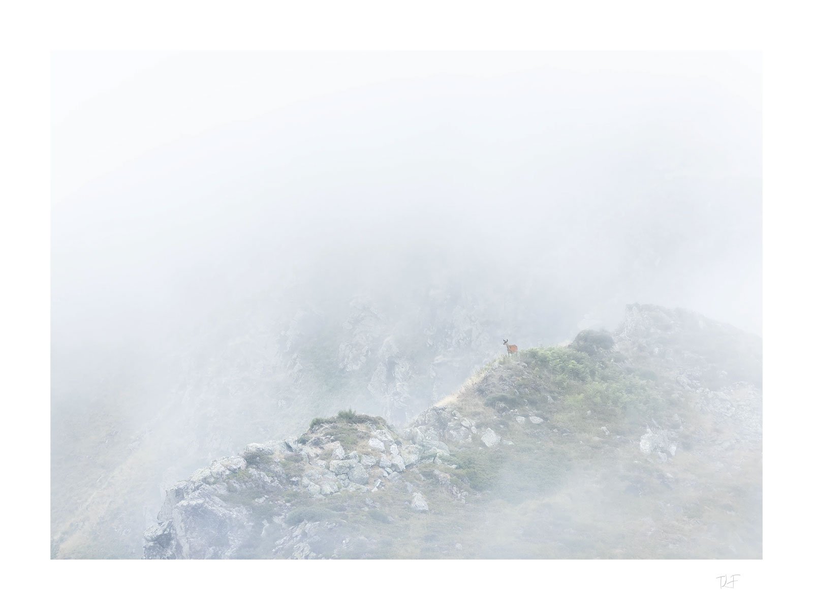 Perdue dans les nuages