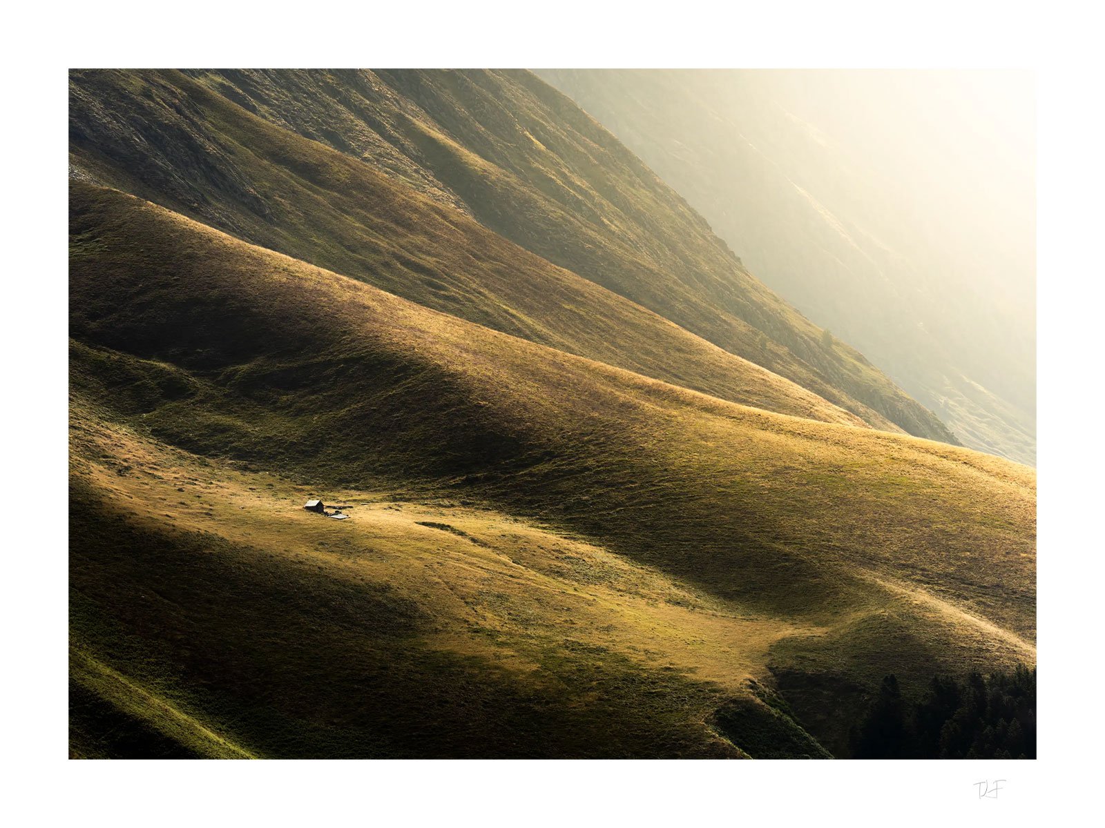 Perdue dans l'immensité