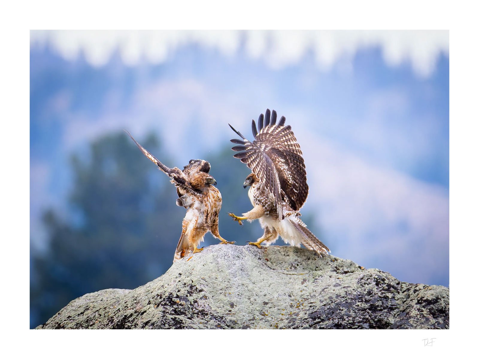 La lutte pour le point de vue