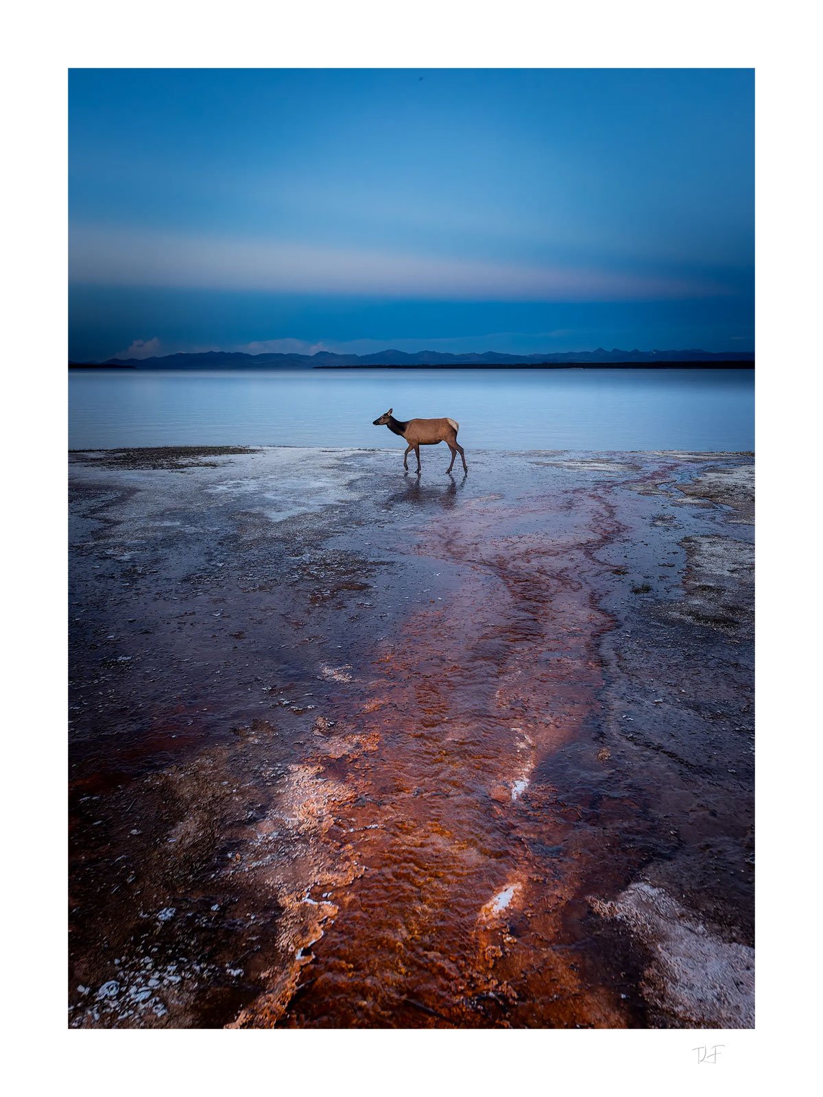 Vie sauvage et volcanisme