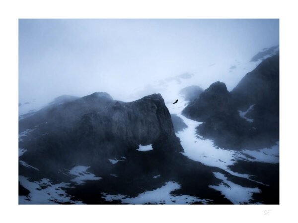 Rapace des sommets brumeux