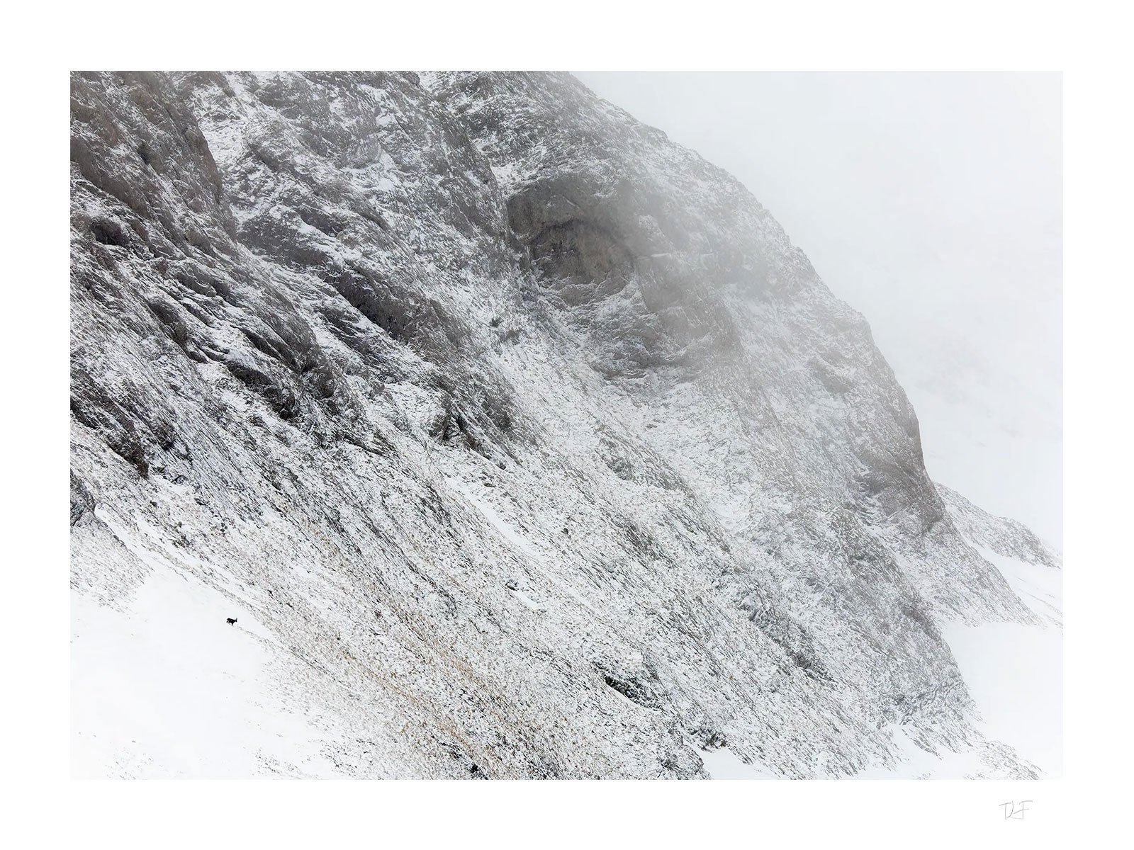 Habitant d'un monde rude