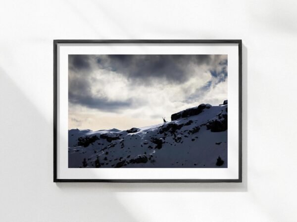 Cadre-Alpes-15