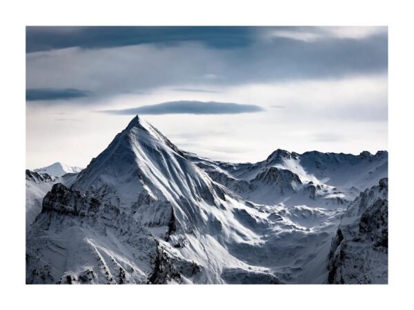 Le monde blanc