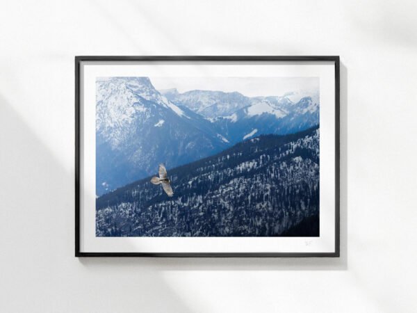 Cadre-Alpes-19.1