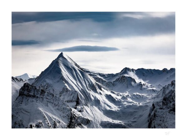 Le monde blanc