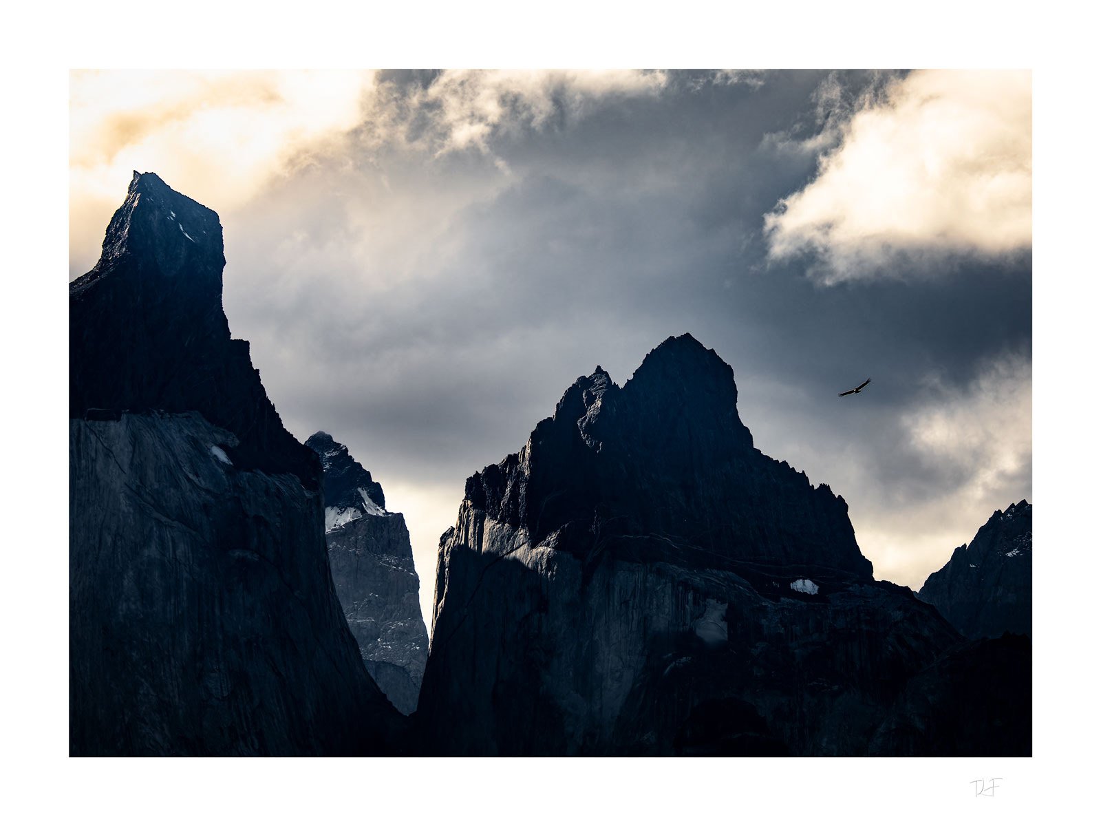 Condor des Andes et Cuernos del Paine